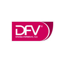 logo_dfv